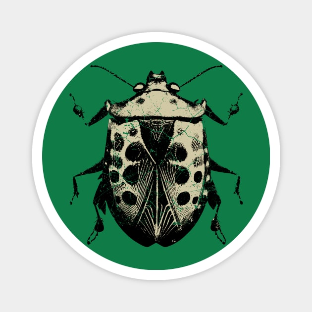 Stink Bug Insect Art Magnet by All-About-Words